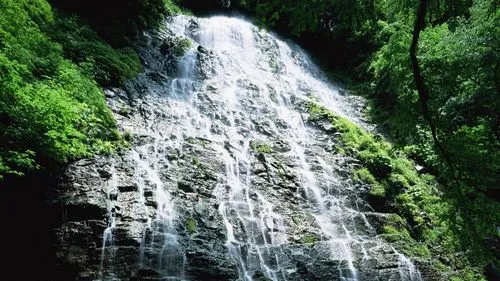 电子节能全自动